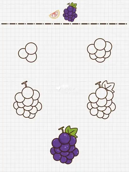 d43🍇葡萄简笔画