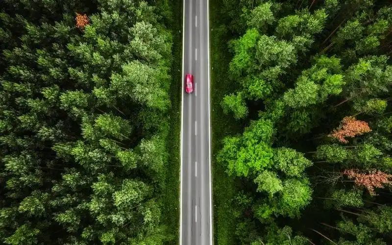 摄影构图之三:垂直线构图