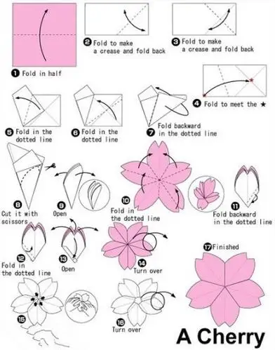 剪纸制作樱花图解 樱花剪纸手工制作教程
