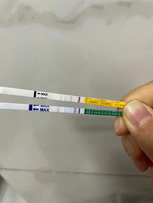 了#怀孕备孕接好孕  #备孕  #兔宝宝  #大卫早孕试纸前2张是昨天早上