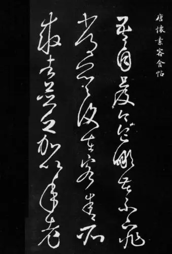 怀素草书客舍帖