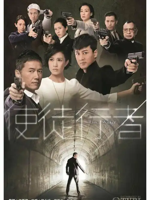 港剧推荐使徒行者