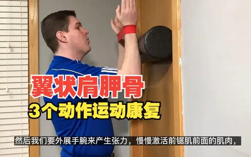 改善翼状肩胛骨,肩胛骨突出,三个动作,体态矫正,运动康复训练
