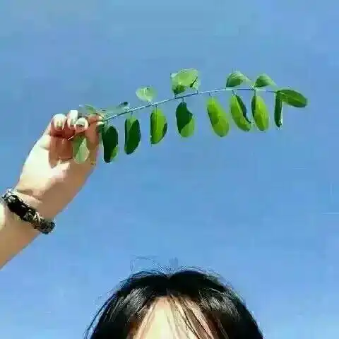 『森系 简约 头像 女头』· 〔微博@_shenli 〕·「或南或北,岁月不及