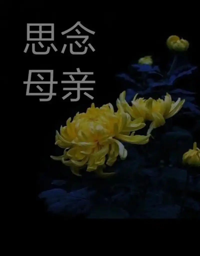 天堂的母亲安好  今天是您离开我们一周年忌日,转眼一年了总感 - 抖音