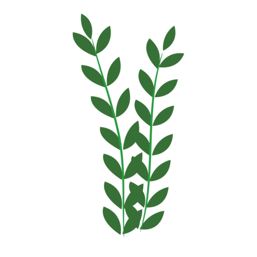 卡通深绿色树叶小草图片