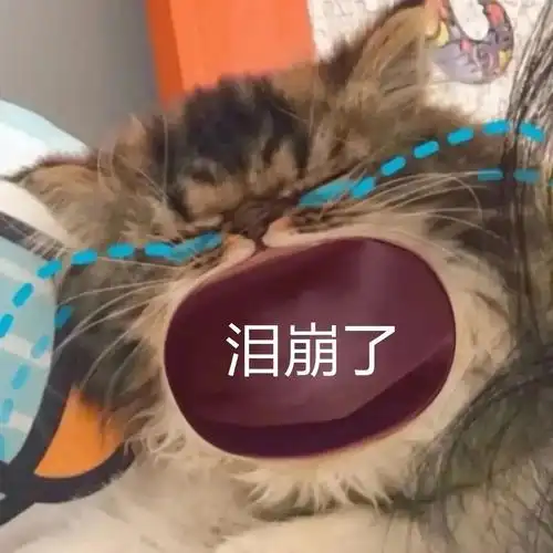 泪崩了妈宝大嘴猫大哭表情包大嘴猫表情