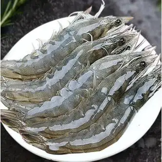 皓谦基围虾大虾鲜活超大青虾海虾冷冻对虾鲜 1500g 12-13cm