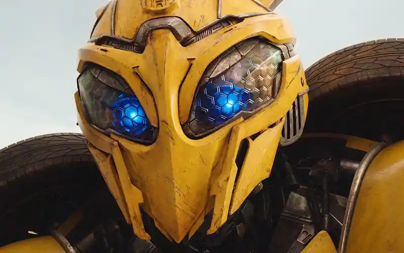 见过帅气的大黄蜂,这么蠢萌的大黄蜂还是第一次见