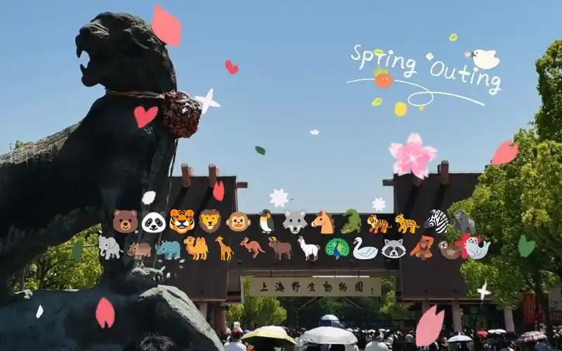 【猴头菇のvlog】上海野生动物园一日游