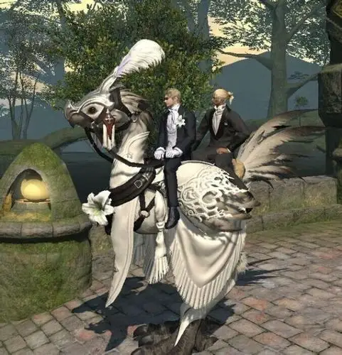 最后两款双人陆行鸟自己对比吧~免费版不说了 白金比黄金多的就是多了