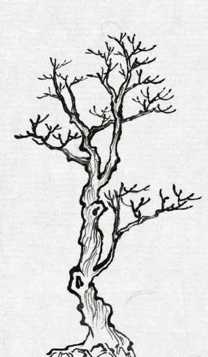 国画教程不同树的画法简单易学快收藏