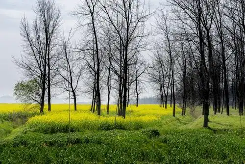 宿松乡村自然风光