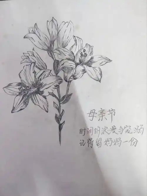 教育学院丨盼时光慢走 愿岁月停留_母亲_康乃馨_马宇婧