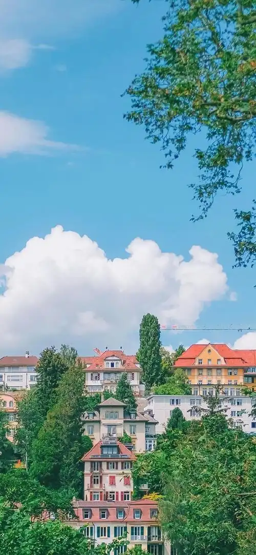 手机壁纸图片大全唯美小清新生活风景随拍