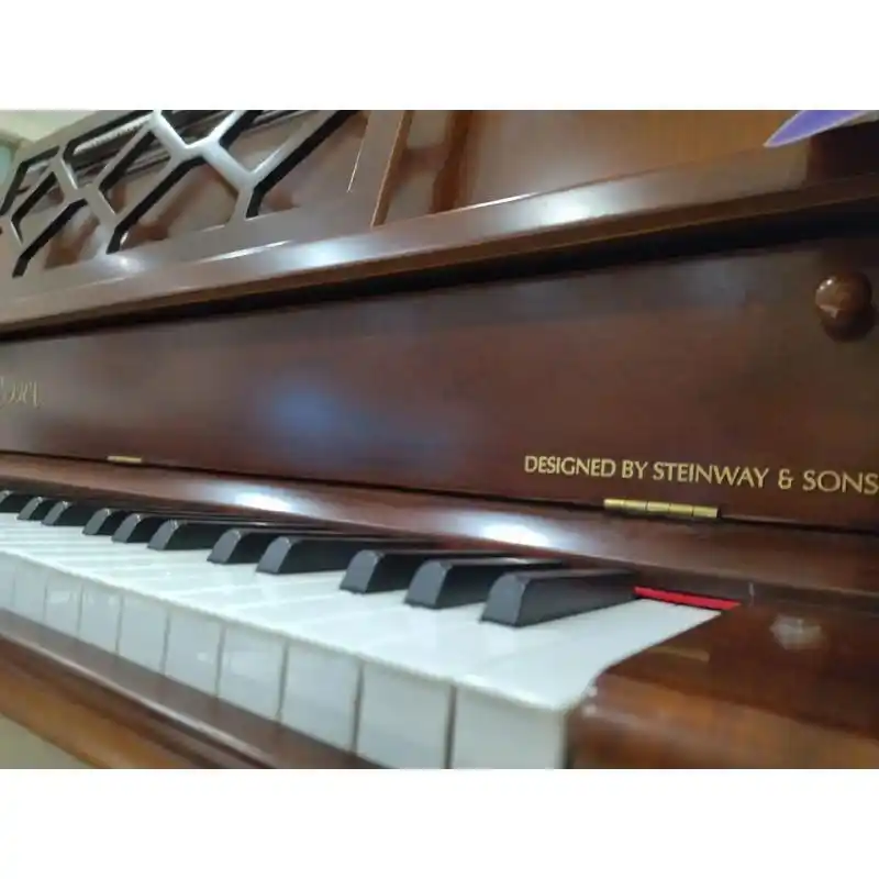 艾塞克斯立式钢琴由施 - 抖音