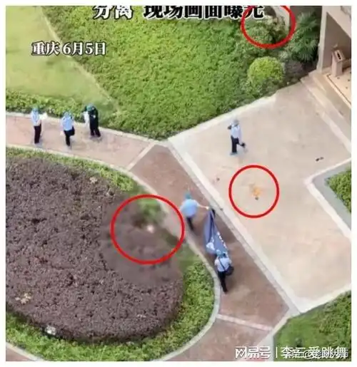 头皮发麻!重庆男子杀妻后跳楼,躯体在空中分离,全小区遭殃