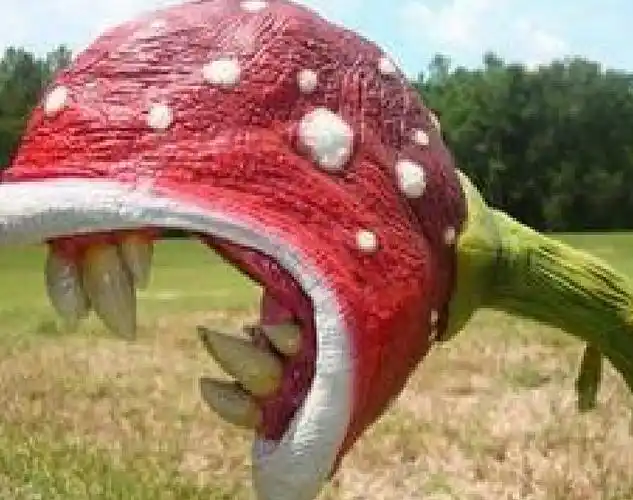 "食人花"真的会吃人吗? 恐怖食肉植物-生活视频-搜狐视频