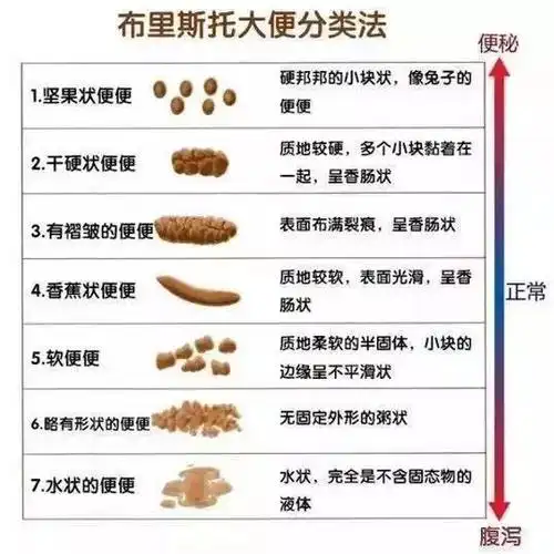 26岁妹子每天放屁50多次,竟是肠癌惹的祸!