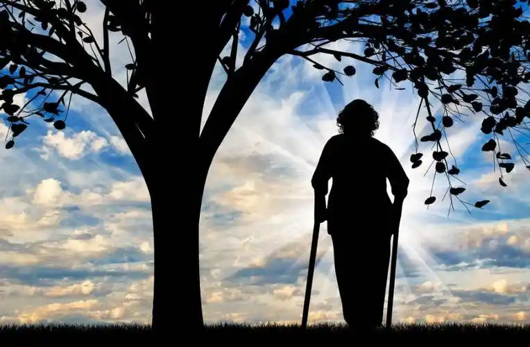 高中优秀作文黄昏下的背影