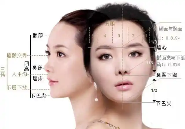 "鹅蛋脸"和"瓜子脸"有啥区别?看懂这三个细节,区别一目了然_腾讯新闻