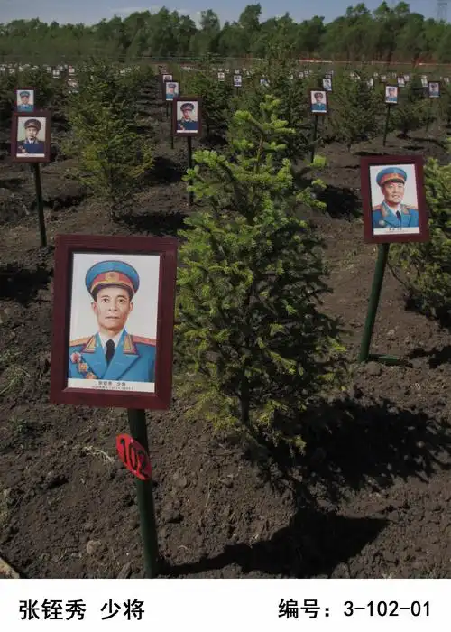 共和国开国将帅林是 "万古长青的不朽丰碑,世代相传