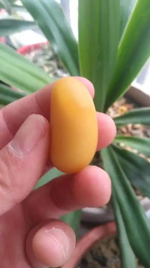 和田玉#水石也很美