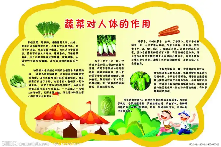 蔬菜的作用知识展板图片