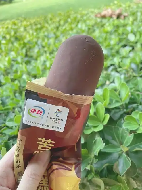 伊利苦咖啡雪糕