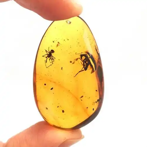 天然缅甸虫珀吊坠