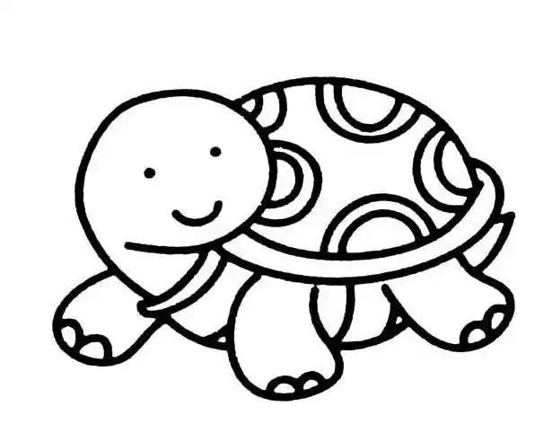 儿童动物简笔画图片大全可爱的小乌龟8