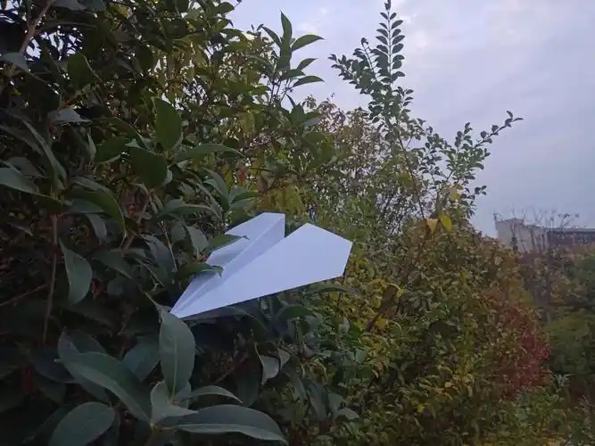 寻美记|一张"纸"的旅行