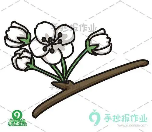 春天梨花桃花的简笔画大图
