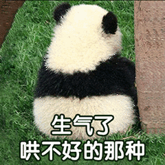 生气了,哄不好的那种