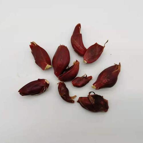 新鲜小红蒜根中药材红葱头可吃百步还阳红血葱 非调料红葱头 包邮