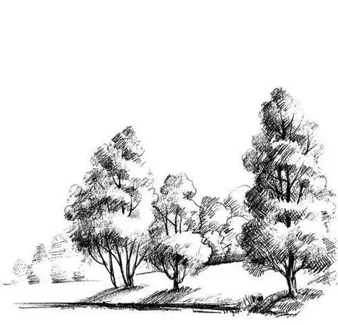 大树素描简笔画集有花有有树有房子有鸟简笔画大树风景图简笔画秋天