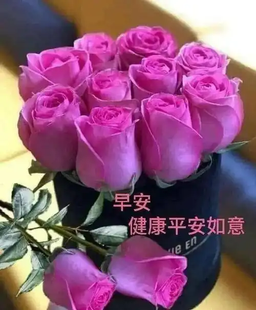 超级漂亮的鲜花早上好表情包每天都是漂亮的开始