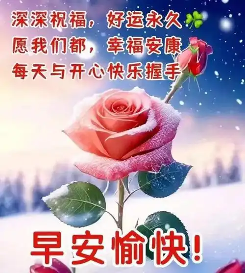 2024年1月14日星期日最新早安温馨问候祝福图片大全|快乐|清晨|幸福