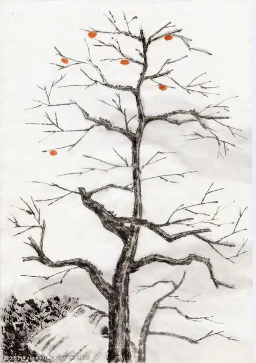 水墨风景-柿子树图片图片