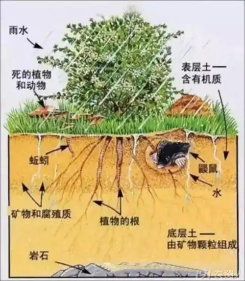 土壤—络合态铁,铝的测定—光度法