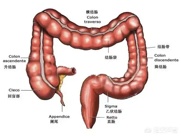 这种癌症早期并无明显症状初次诊断时已经处于中晚期早诊筛查很重要