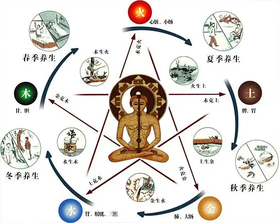 五色食物入五脏