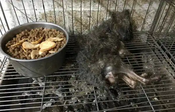 路边捡了一具皮包骨骷髅,看清正脸后,哭了.