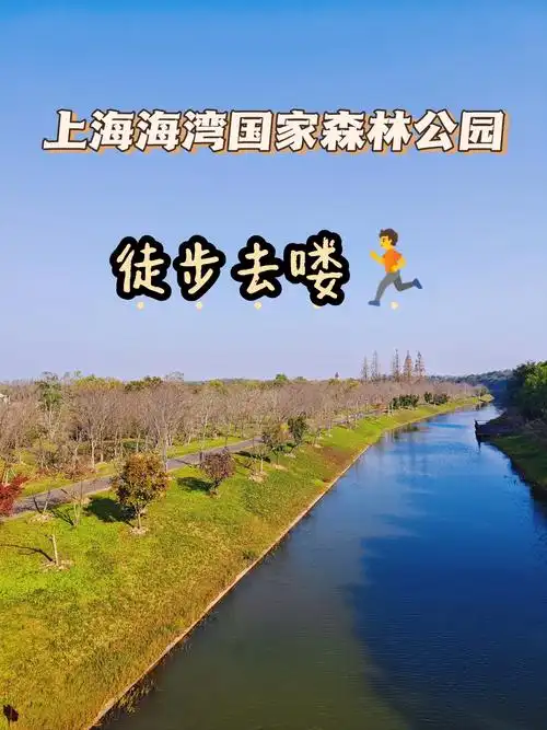 🏃喜欢徒步的小伙伴,上海海湾国家森林公园真的不要错过了