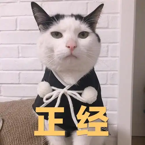 我会告诉泥萌"婊"是当初某管理员同志没心没肺拍脑门决定的吗哼唧 (