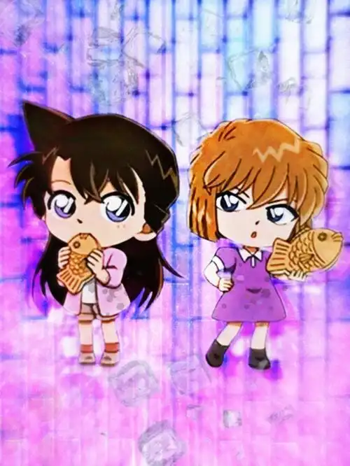 毛利兰与灰原哀的图片