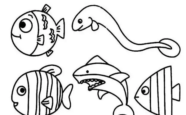 游来游去的小鱼简笔画