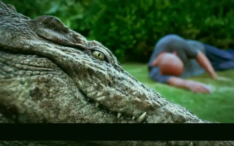 【青岩影城05】《百万巨鳄》——人鳄情未了,中国首部特效惊悚怪兽