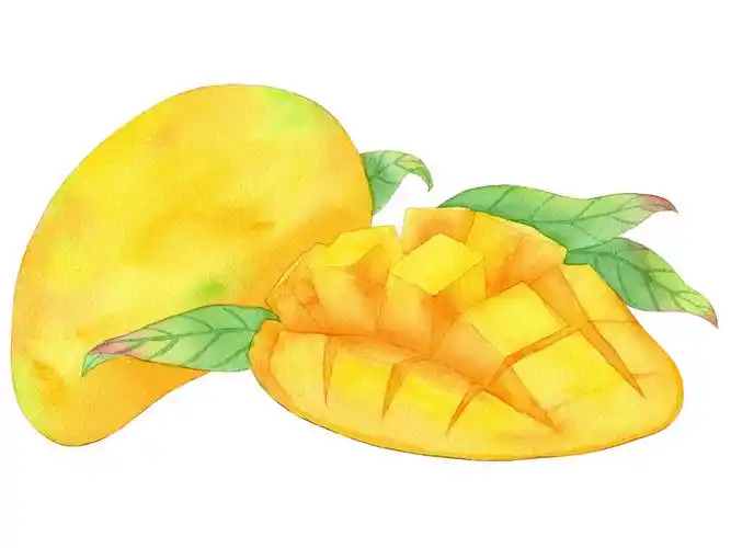 手绘水彩水果芒果果肉元素素材插画