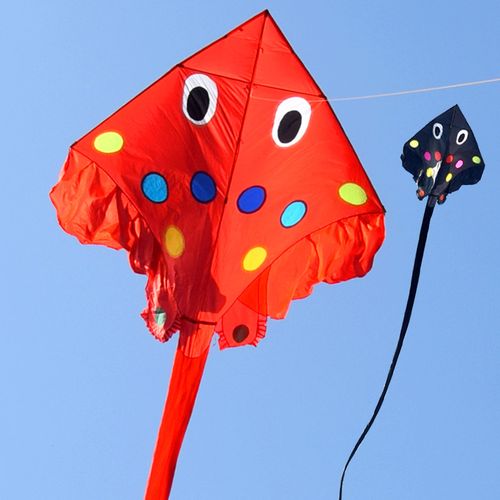 追风者老板鱼风筝大型成人三角544软伞布碳杆微风易飞抗风长尾鱼